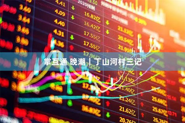 掌互通 晚潮｜丁山河村三记