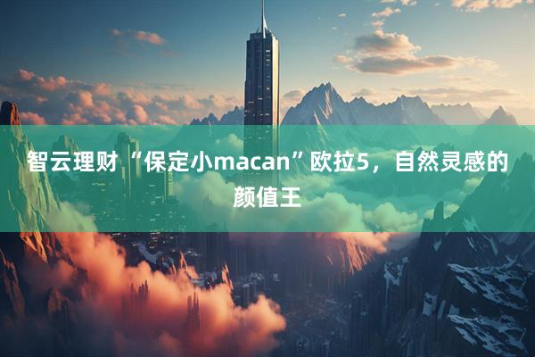 智云理财 “保定小macan”欧拉5，自然灵感的颜值王